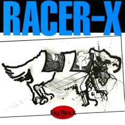 Big-Black-Racer-X.jpg