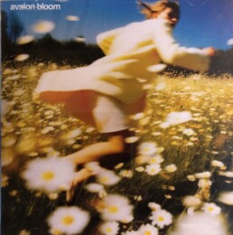 Avalon Bloom - 001 - CD.jpg
