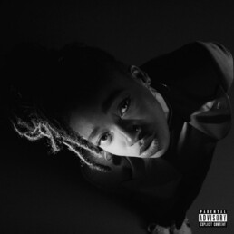 Little Simz-Grey Area-Vinyl LP