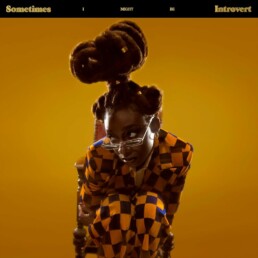 Little Simz - Sometimes I Might Be Introvert - VINYL 2LP