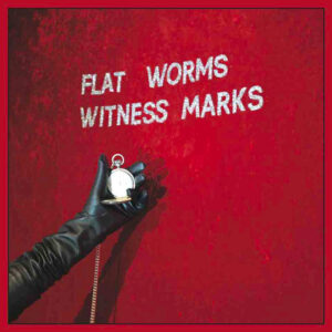 Flat Worms - Witness Marks - VINYL LP