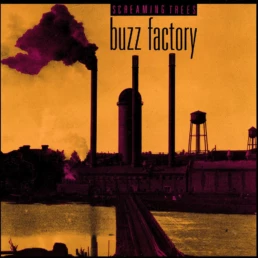 Screaming Trees - Buzz Factory - VINYL LP