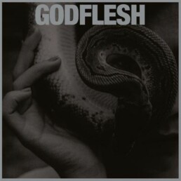 Godflesh-Purge