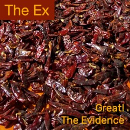 The Ex - Great! / The Evidence - 7 inch