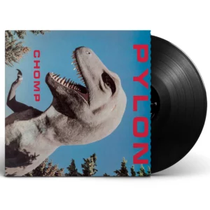 Pylon-Chomp-Vinyl-Black