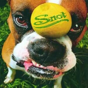 Snot-Get Some-LP