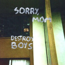 Destroy Boys - Sorry, Mom - VINYL LP