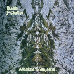 Dead Meadow - Voyager to Voyager - VINYL LP