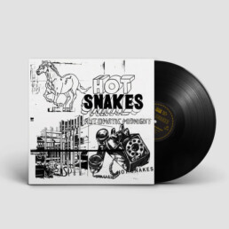 Hot Snakes - Automatic Midnight - VINYL LP